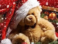 pic for xmas teddy bear 